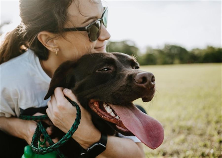 Et kig ind i dyrlægeklinikkernes verden